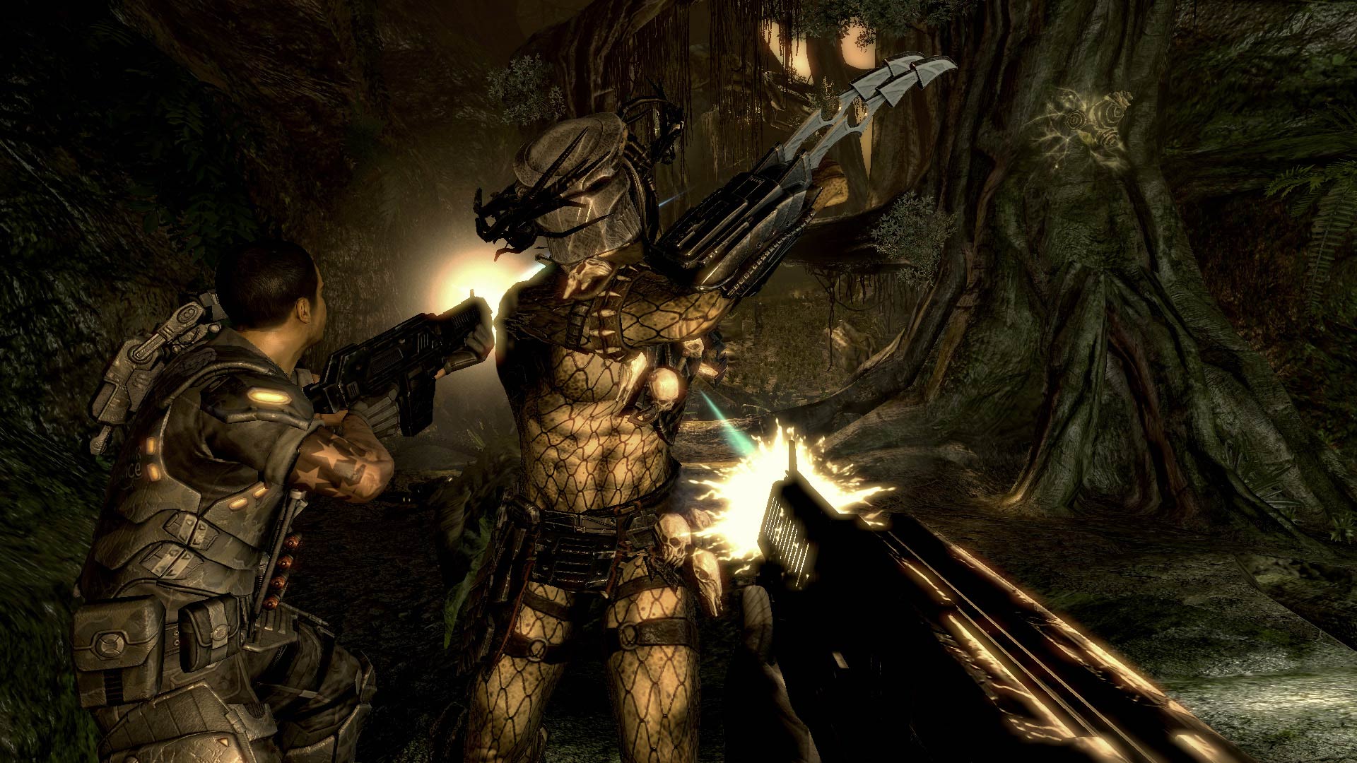 avp01.jpg