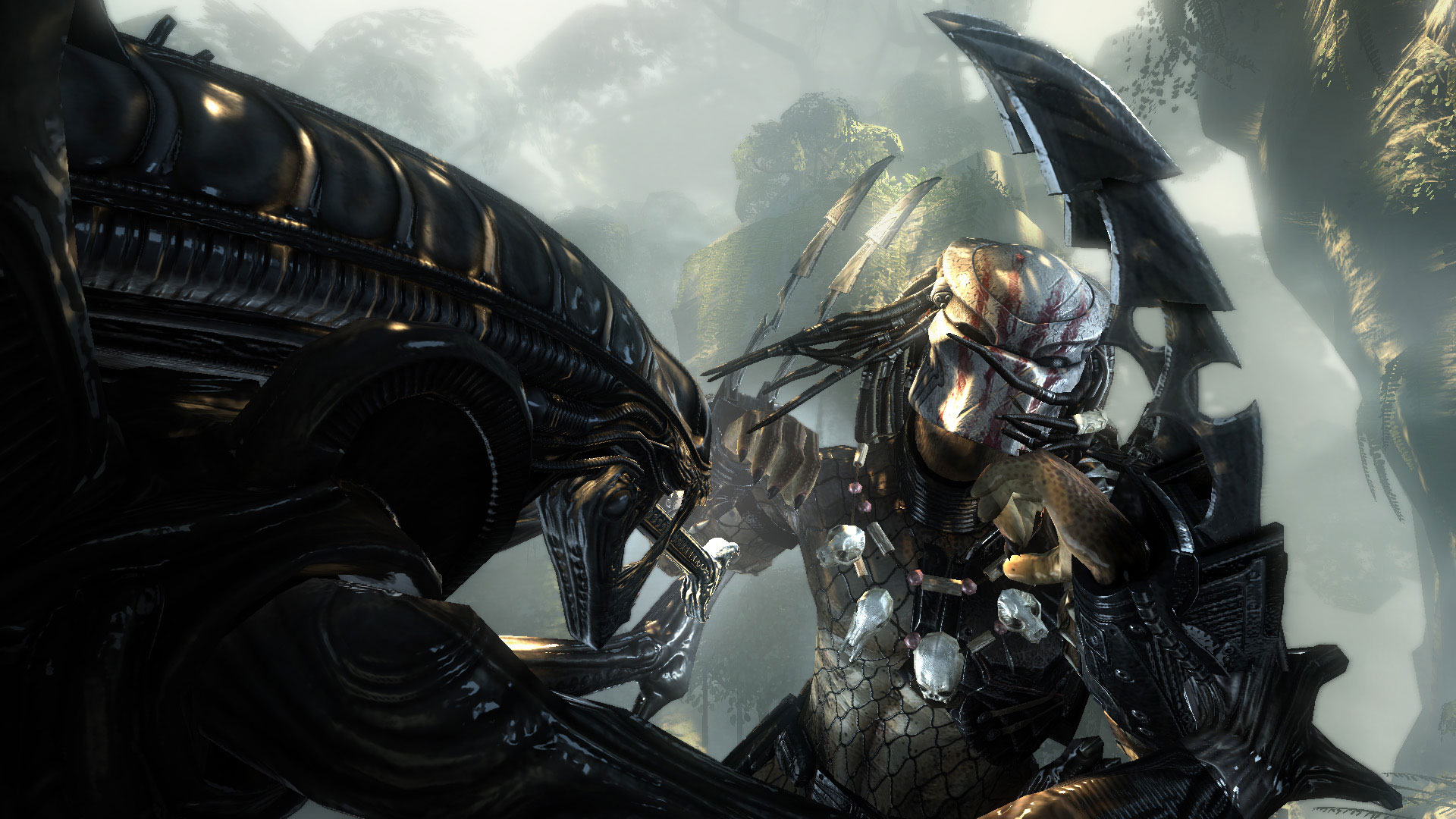 avp02.jpg