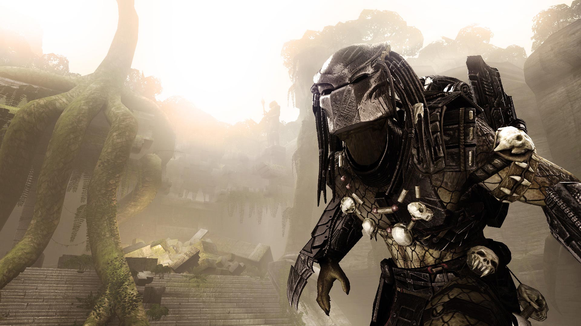 avp03.jpg