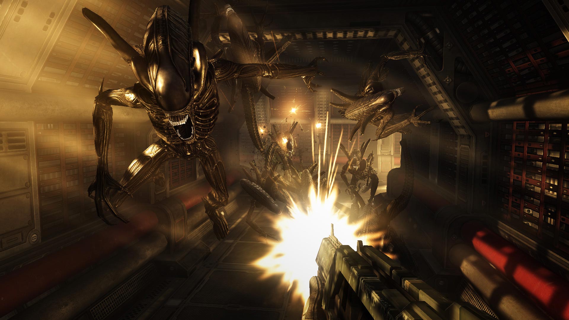 avp04.jpg