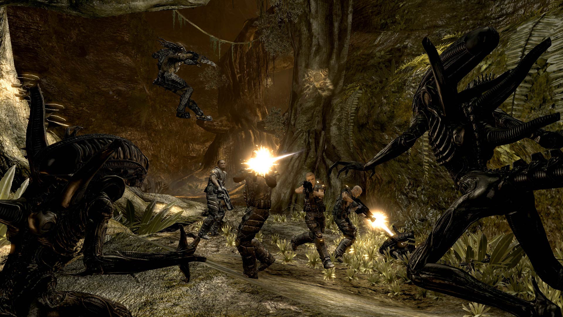 avp07.jpg