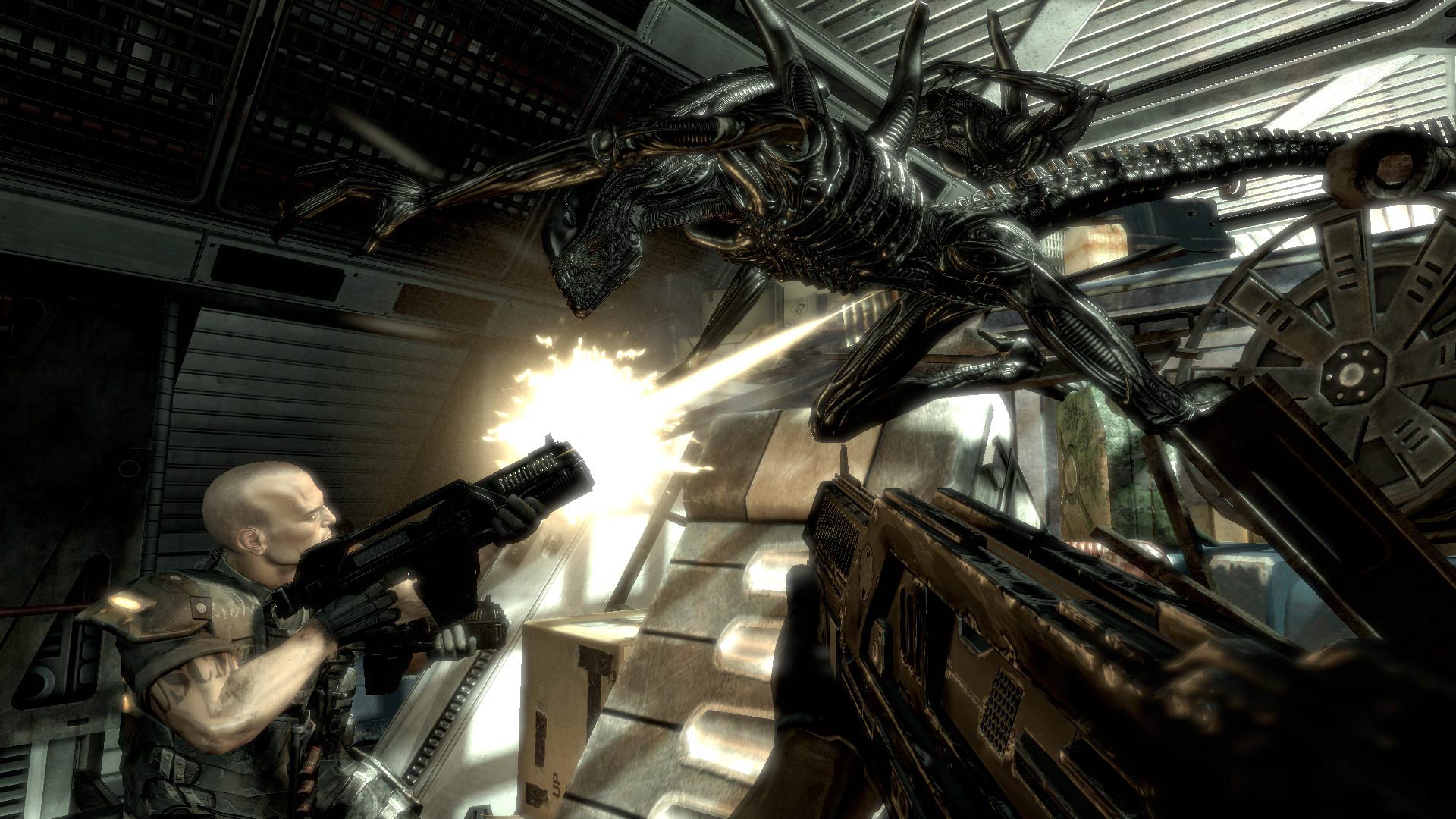 avp08.jpg